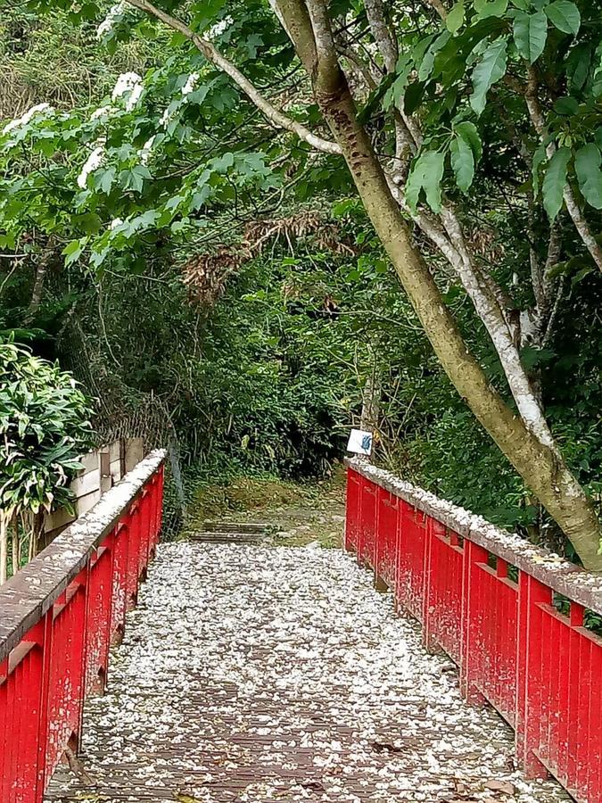 Dingdai Cherry Blossoms Resort Nantou Zewnętrze zdjęcie